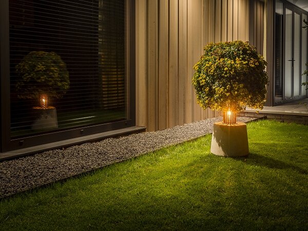 Beplanting met verlichting