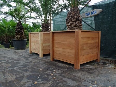 Plantenbak met palm