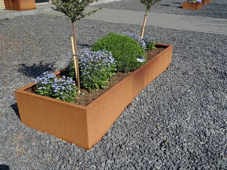 Plantenbak zonder bodem