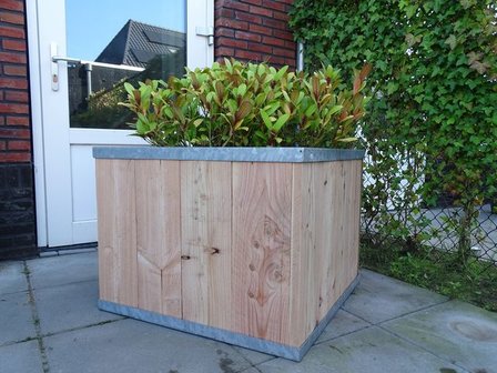 Plantenbak hout verzinkt staal