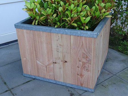 Plantenbak TW Box