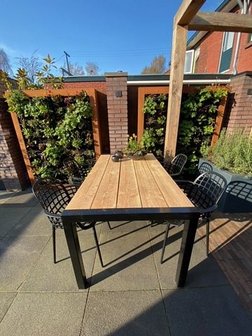 Tuintafel douglashout staal