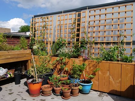 plastic Kan niet je bent Plantenbak met trellis - Haagbak - Tuinwaardig