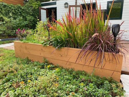 Borderbak hout
