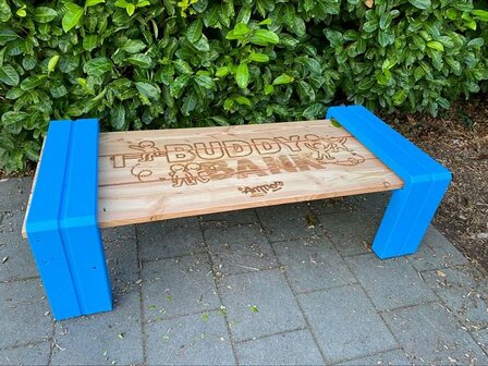 Buddy bench