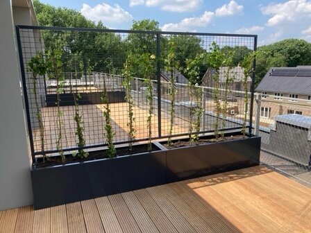 Stalen plantenbak met klimrek trellis