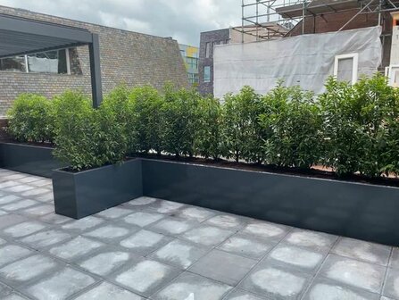 Stalen plantenbak afscheiding