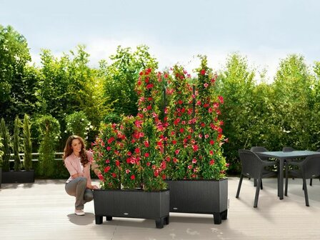 Terrasafscheiding kunststof