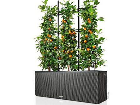 Terrasafscheiding kunststof