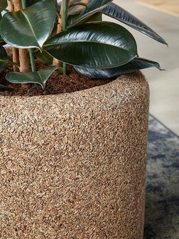 Natuurlijke pot voor binnen