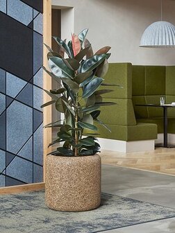 Natuurlijke plantenbak