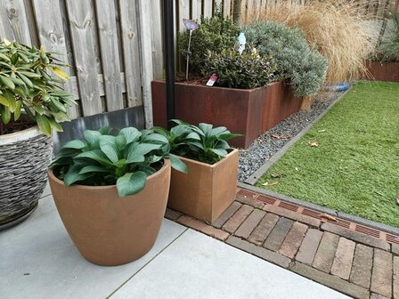 Corten look plantenbak