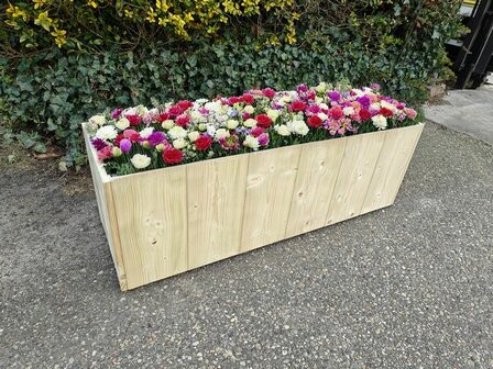 TW Basic geimpregneerd hout