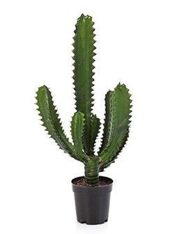 Cactus kunstplant