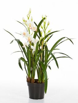 Kunstplant orchidee