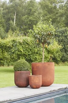 Plantenpot