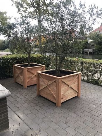 Plantenbakken