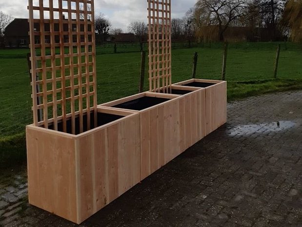 TW Trellis