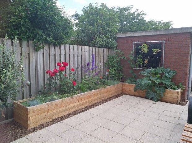 Tuinborder