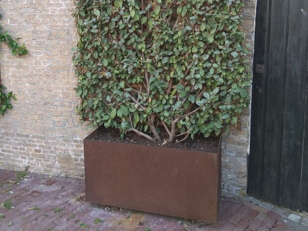 Cortenstaal plantenbak met klimrek