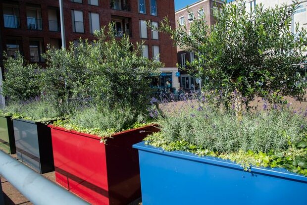 Stalen plantenbak in ral kleur