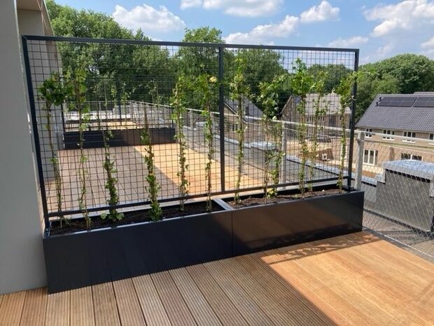 Stalen plantenbak met klimrek trellis
