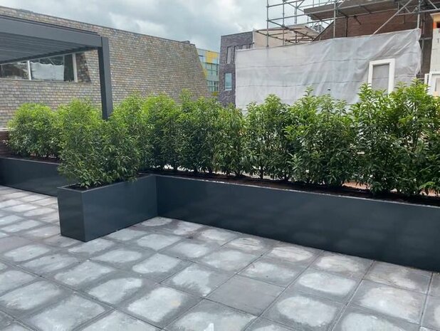 Stalen plantenbak afscheiding