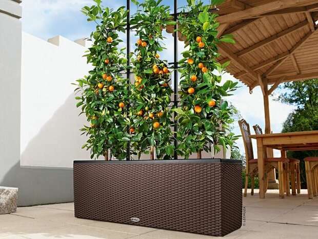 Kunststof plantenbak met klimrek