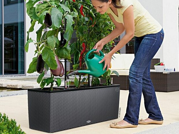 Terrasafscheiding van kunststof