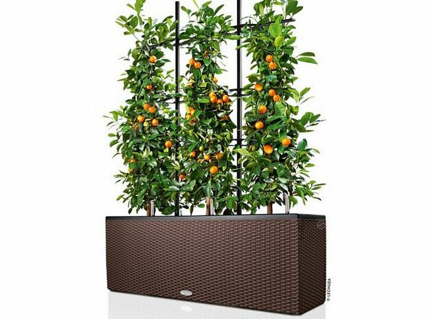 Terrasafscheiding kunststof