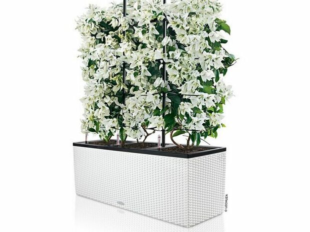 Terrasafscheiding kunststof