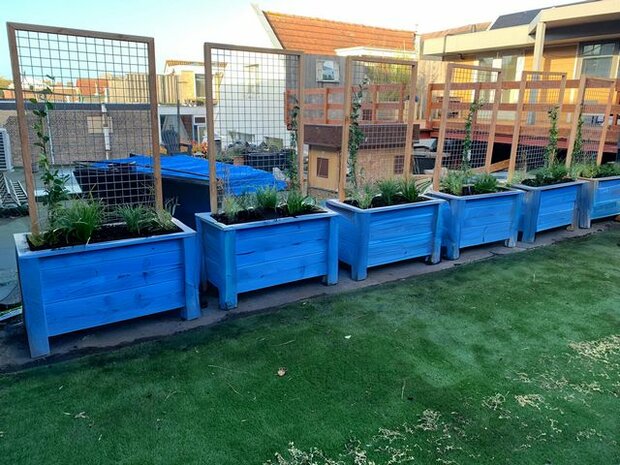 Houten plantenbak in ral kleur naar keuze