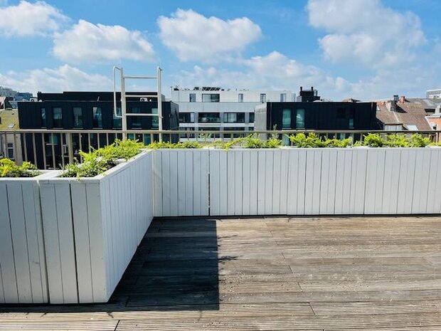 Houten plantenbak op maat