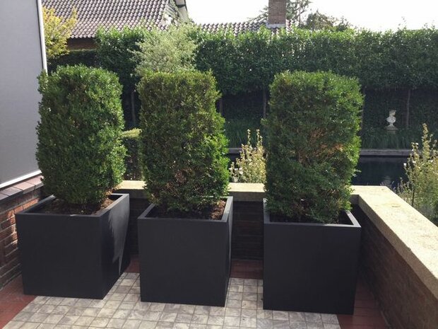 Plantenbak met ral kleur naar keuze