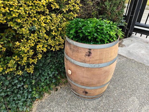 Wijnvat plantenbak