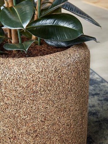 Ecologische plantenbak