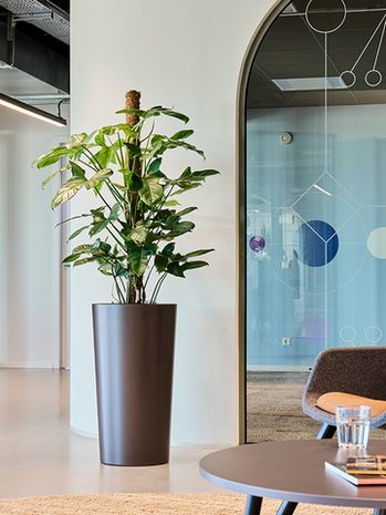 Plantenbak conisch hoog