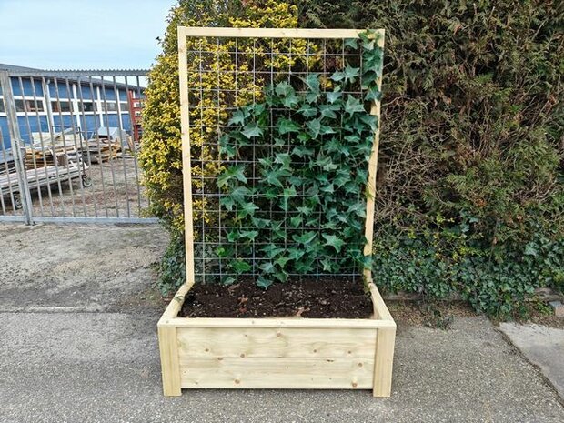 TW Trellis Plus geimpregneerd hout