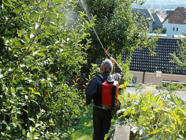 Tuinwaardig rug spuit