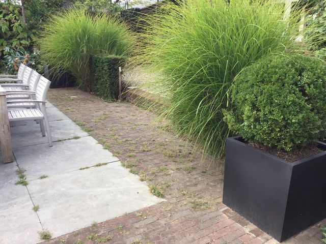 Fiberstone boombak bestellen