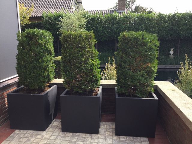 Plantenbak met ral kleur naar keuze