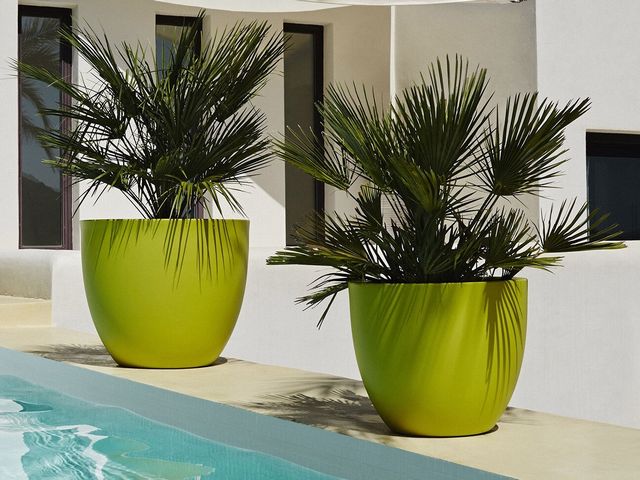 Plantenbak met zelf gekozen kleur