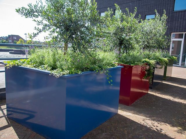 Gekleurde plantenbak van staal