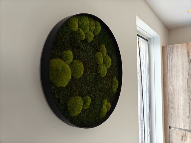 Rond mos schilderij met verschillende soorten groen mos als natuurlijke wanddecoratie in het interieur