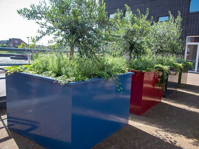 Grote blauwe en rode stalen plantenbakken met bomen en groene beplanting