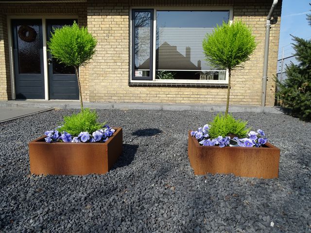 Vierkante cortenstalen plantenbakken met bomen en paarse bloemen in een voortuin