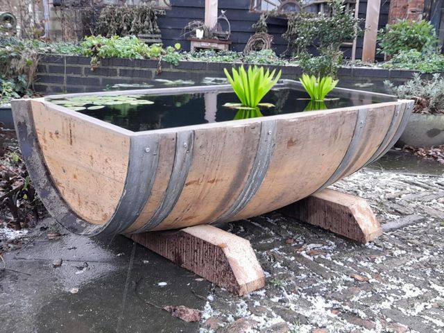 Authentiek houten wijnvat omgebouwd tot terrasvijver met waterplanten