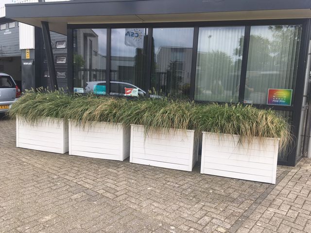 Houten plantenbakken met een kleur