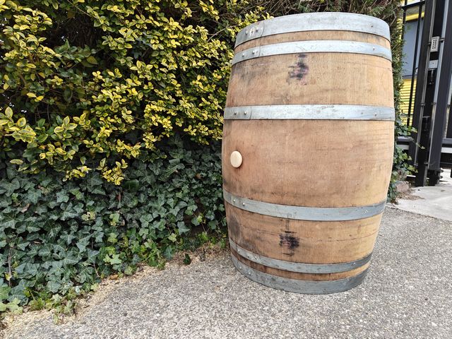 Wijnvat regenton