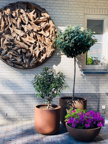 Plantenbak corten look